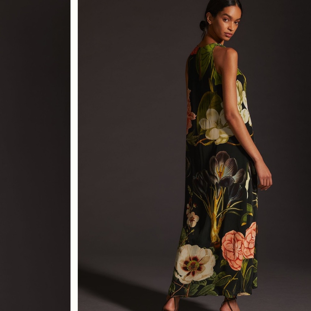 COPY - New with tags Siddhartha Bandal Haltar Maxi Dress - Picture 5 of 6